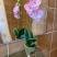 Apartman sa pogledom na more i planinu, Частный сектор жилья Бијела, Черногория - WhatsApp Image 2024-06-21 at 16.25.00_2c44431d